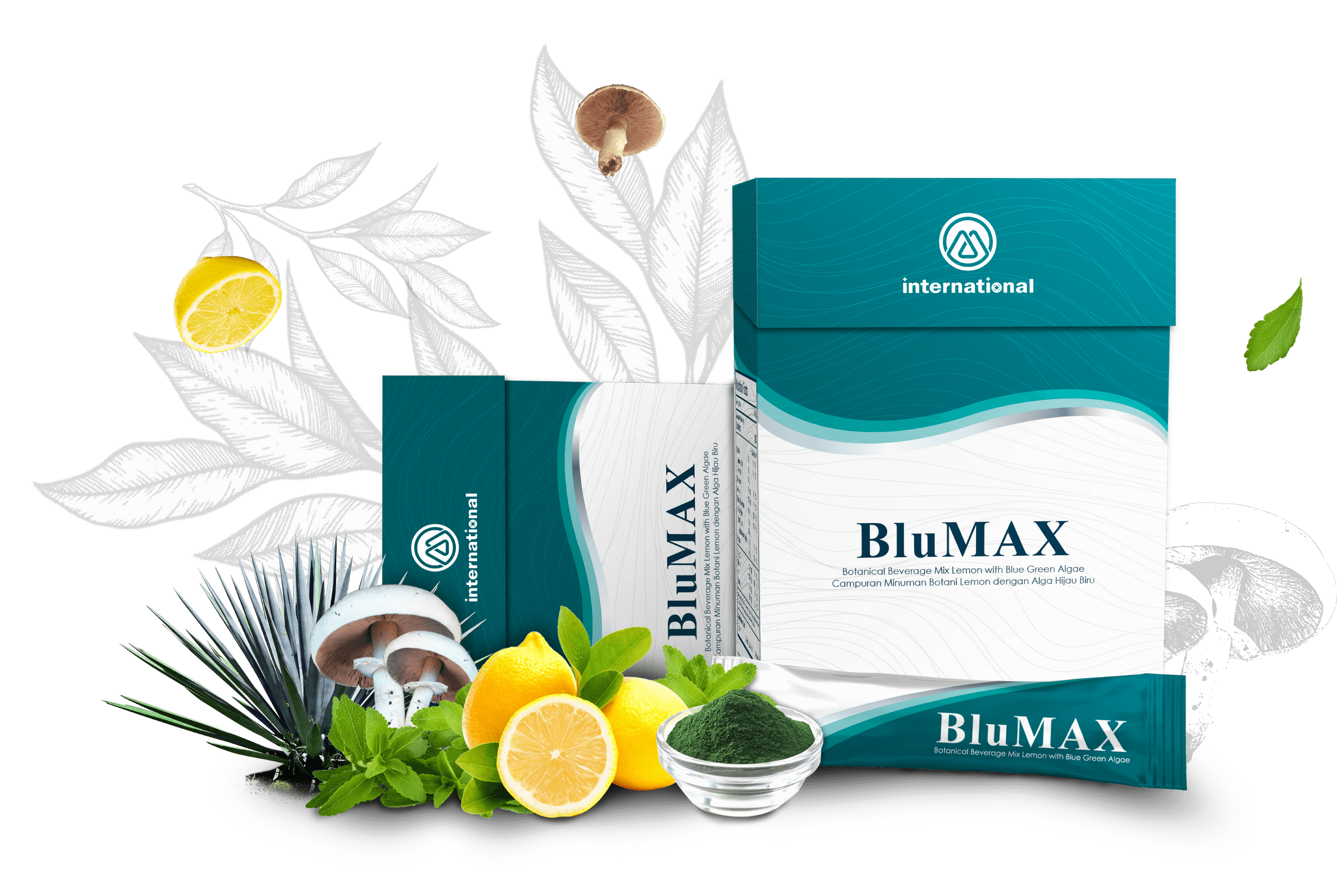 BluMAX Ürünü Detaylı Görseli